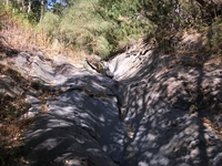 rrente Quarantore-20110911 034